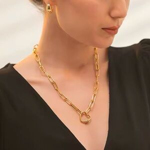 NWOT 14K Gold Plated Stainless Steel Chain Necklace in Gold